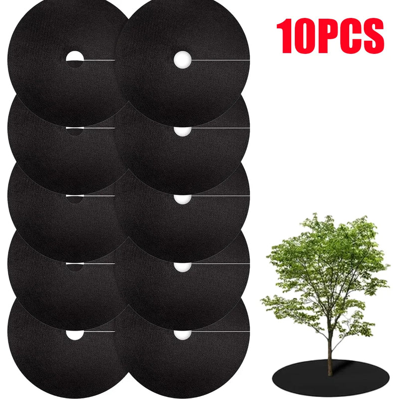 Disques de paillage pied d'arbre en non-tissé noir, lot de 10, diamètre 15 à 42 cm
