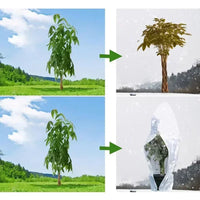 Housse d'hivernage pour plantes à cordon, avec ou sans zip, de 60x80 à 250x350 cm