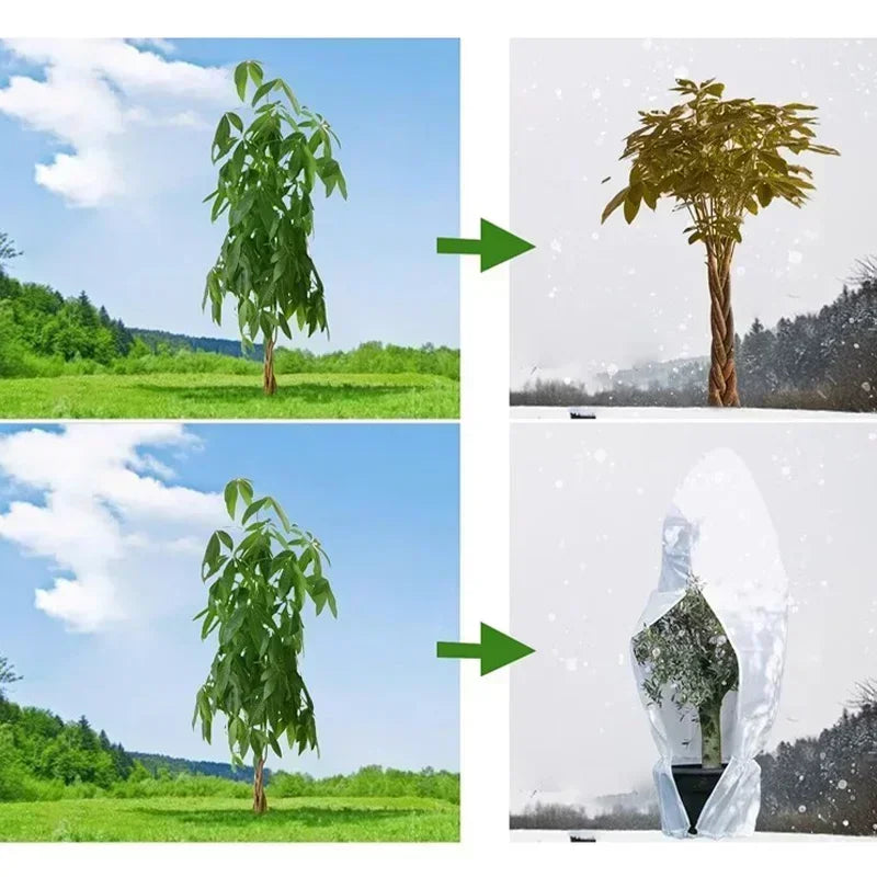 Housse d'hivernage pour plantes à cordon, avec ou sans zip, de 60x80 à 250x350 cm