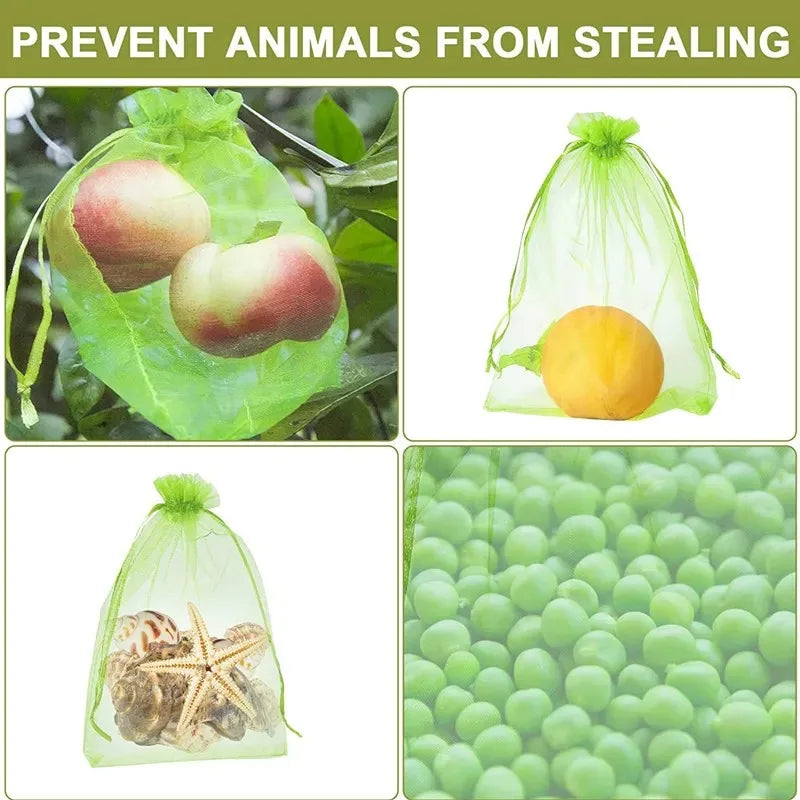 Sacs de protection pour raisins et fruits en organza, lot de 50, 7x9 à 20x30 cm