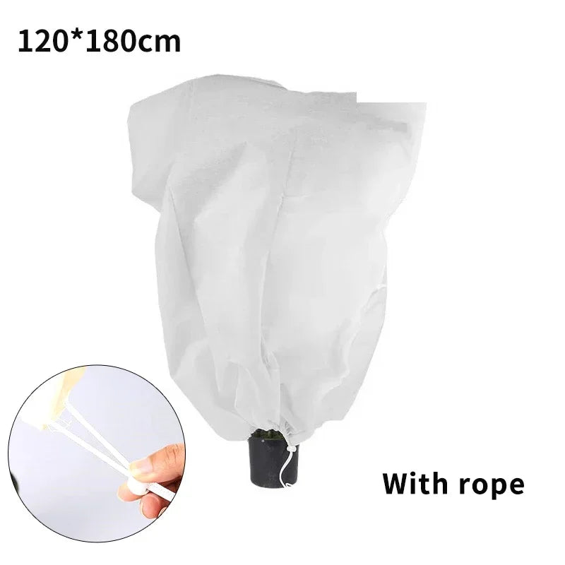 Housse d'hivernage pour plantes à cordon, avec ou sans zip, de 60x80 à 250x350 cm
