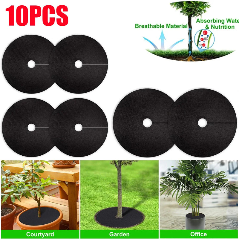 Disques de paillage pied d'arbre en non-tissé noir, lot de 10, diamètre 15 à 42 cm