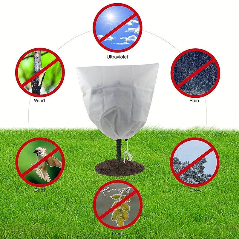 Housse d'hivernage pour plantes à cordon, avec ou sans zip, de 60x80 à 250x350 cm