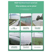 Voile d'hivernage non tissé 30 g/m² en rouleau, 3 x 20 m, protection antigel des plantes