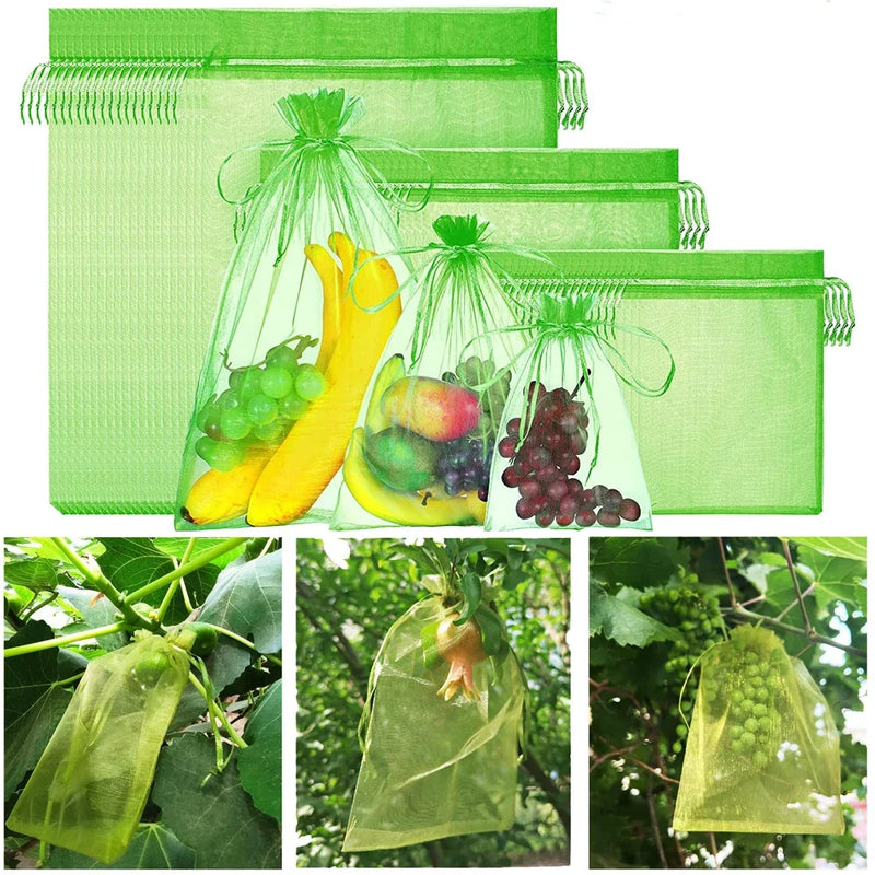 Sacs de protection pour raisins et fruits en organza, lot de 50, 7x9 à 20x30 cm