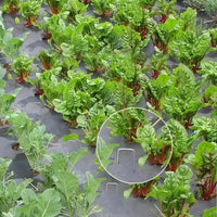 Agrafes galvanisées en U pour toile anti-mauvaises herbes, 10 ou 15 cm, 50 ou 100 pièces