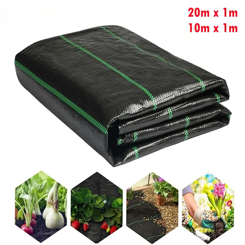Toile anti-mauvaises herbes tissée noire anti-UV pour verger et jardin, rouleau de 1x10 ou 1x20 m