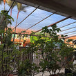 Bâche transparente en polyéthylène avec œillets, 7 tailles de 1 x 1 à 4 x 4 m