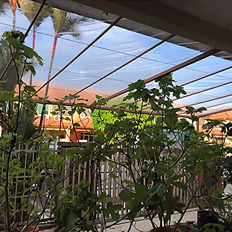 Bâche transparente en polyéthylène avec œillets, 7 tailles de 1 x 1 à 4 x 4 m