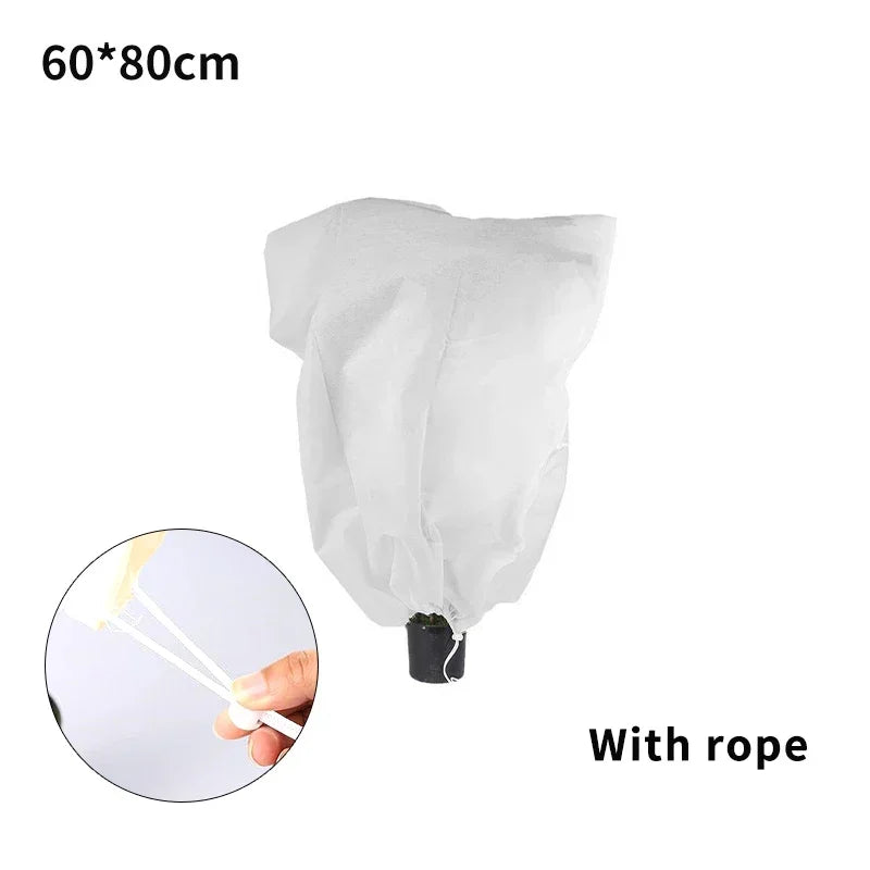 Housse d'hivernage pour plantes à cordon, avec ou sans zip, de 60x80 à 250x350 cm