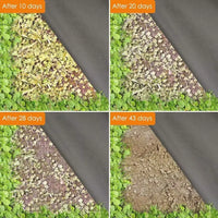 Toile anti-mauvaises herbes non tissée noire en polypropylène, respirante, 3 largeurs, rouleau de 10 m