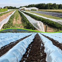 Bâche transparente pour serre en film polyéthylène anti-buée et isolant, 2x10 m ou 3x6 m