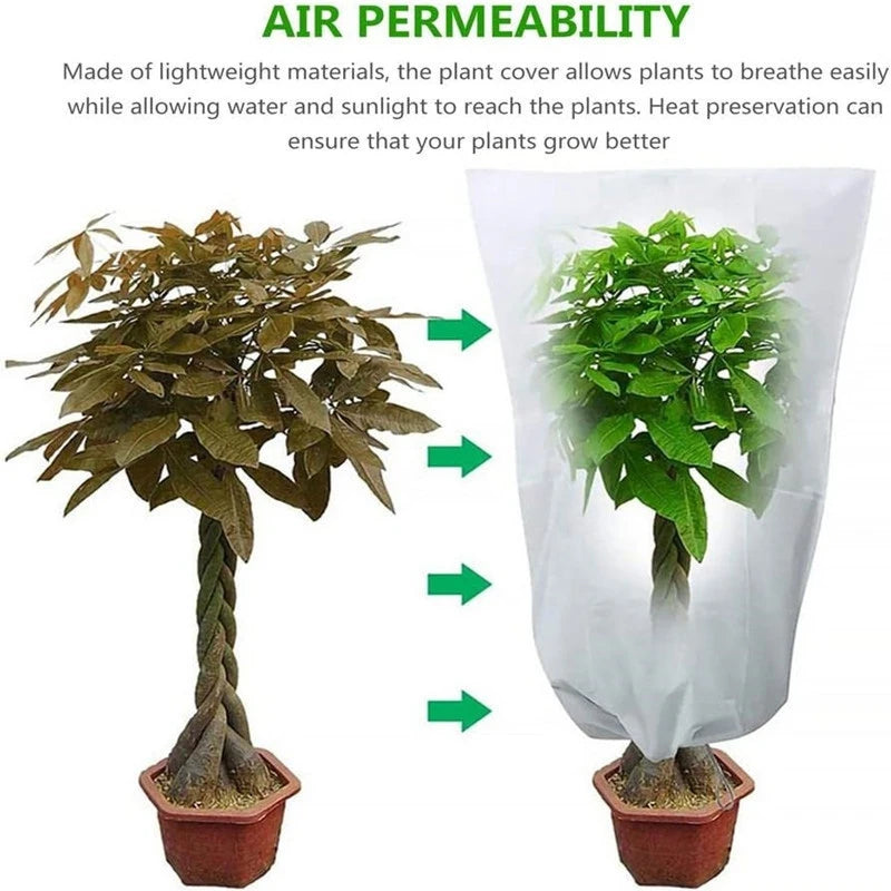 Housse d'hivernage pour plantes à cordon, avec ou sans zip, de 60x80 à 250x350 cm