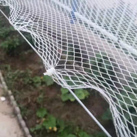 Filet anti-oiseaux et anti-grêle blanc, maille 0,5 cm, 7 tailles de 10 à 40 m²