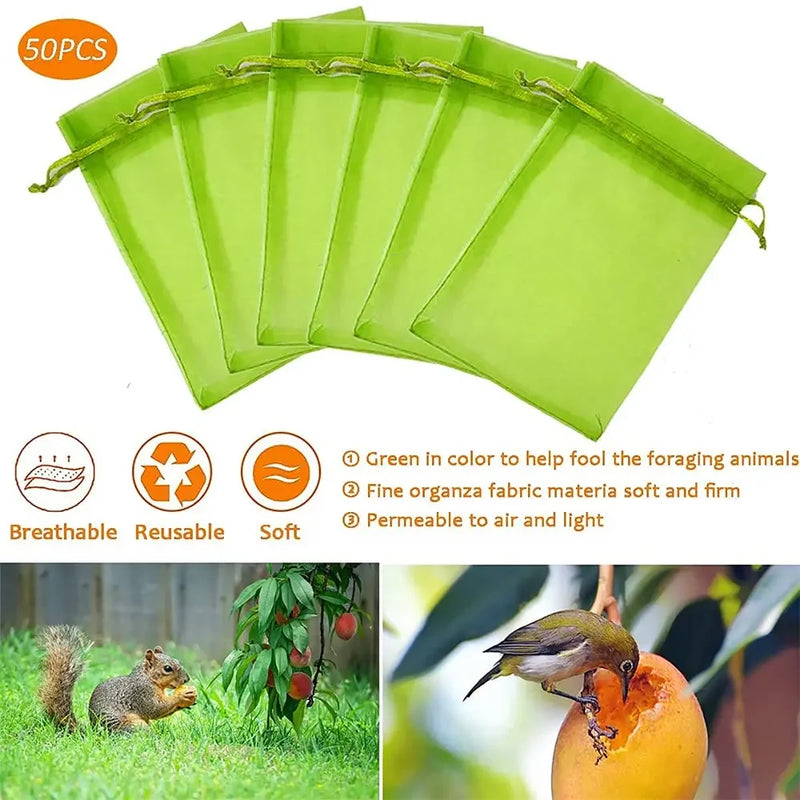 Sacs de protection pour raisins et fruits en organza, lot de 50, 7x9 à 20x30 cm