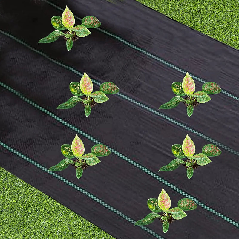 Toile anti-mauvaises herbes tissée noire en polyéthylène, rouleaux de 1x10 à 2x15 m