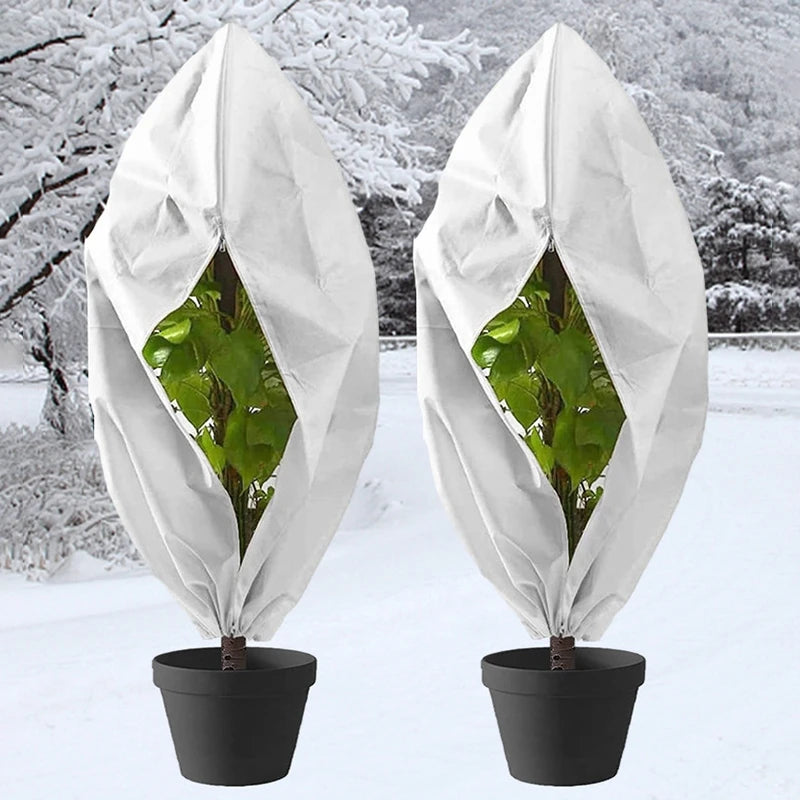 Housse d'hivernage pour plantes à cordon, avec ou sans zip, de 60x80 à 250x350 cm