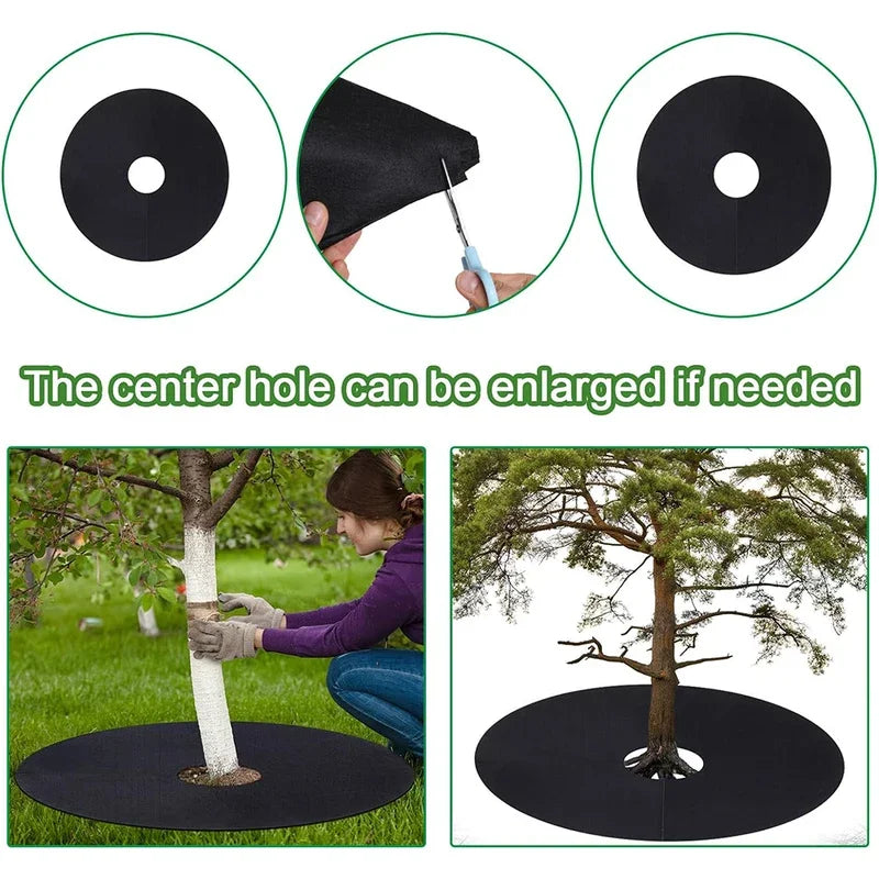 Disques de paillage pied d'arbre en non-tissé noir, lot de 10, diamètre 15 à 42 cm