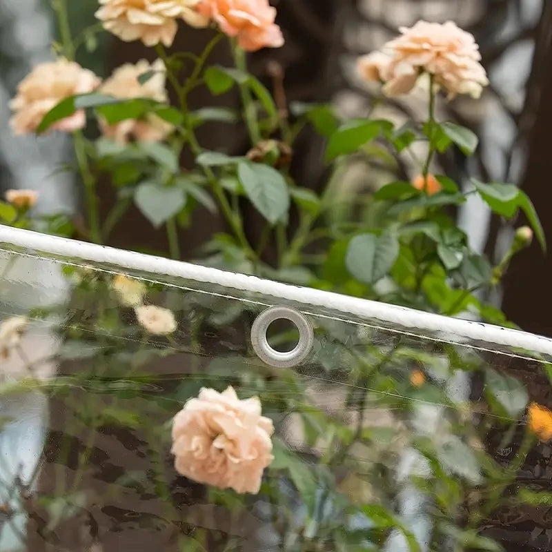 Bâche transparente PVC 450 g/m² à œillets, 2 x 2 m ou 2 x 3 m
