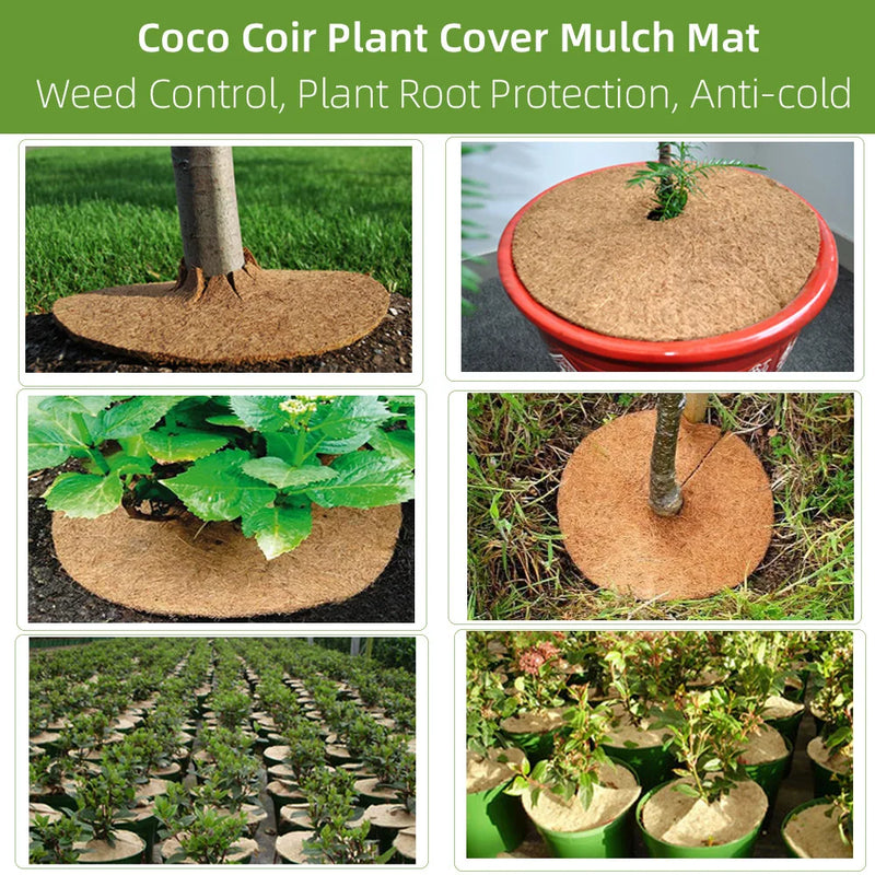 Disque de paillage en fibre de coco pour pot et arbre, de 25 à 40 cm