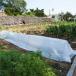 Voile d'hivernage non tissé 30 g/m² en rouleau, 3 x 20 m, protection antigel des plantes